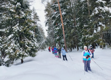 Подмосковье, Лыжный поход «Лесная зимняя сказка» (Подмосковье)