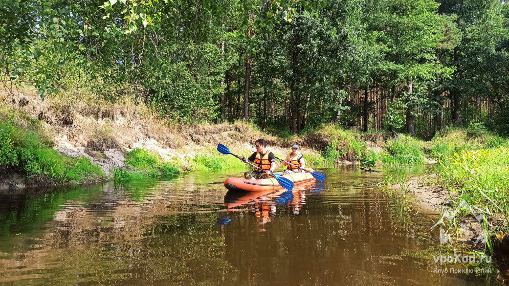 Где сплавляться в подмосковье. Сплав по реке судогда на байдарках. Сплавы в подмосковье маршруты. Каяки сплав московская область. Сплав по реке судогда на байдарках.