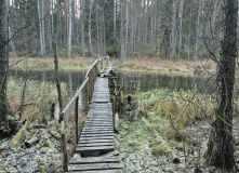 Северо-Запад, Изборско-Мальская долина (разведка)