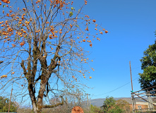 Грузия, Лучшие реки Грузии: родео-тур на байдарках