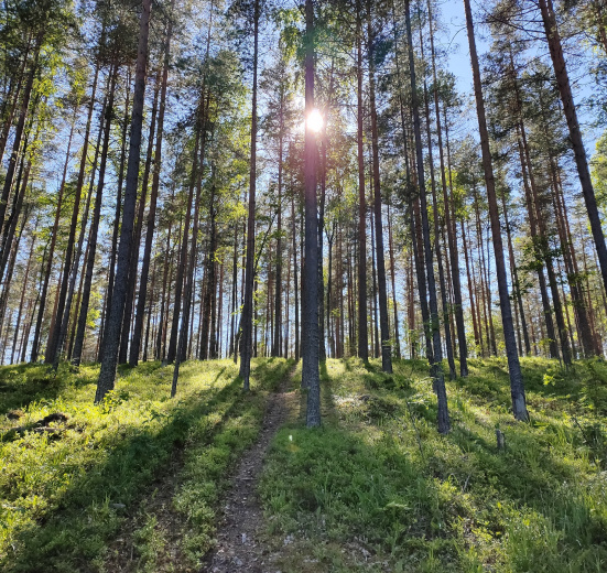 По берегам пяти озер. Велопоход