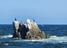 Сахалин, Сахалино-Камчатский вояж: по следам Крузенштерна (активный комфорт-тур)