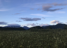 Камчатка, Горячая Камчатка: облегченный поход в долину Налычево (5 ночёвок в домиках)