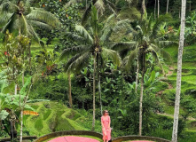 Индонезия, Большой тур по Индонезии: комфорт-тур