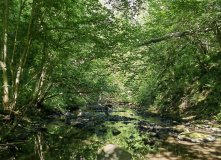 Подмосковье, Золотьковский водопад и Ратовский овраг