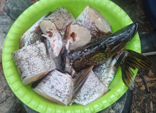 Карелия, Сплав по реке Суна на байдарках