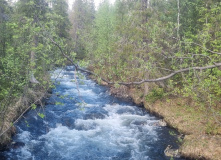 Кольский, Русская Лапландия: Тропа викинга и Лапландский заповедник (разведка)