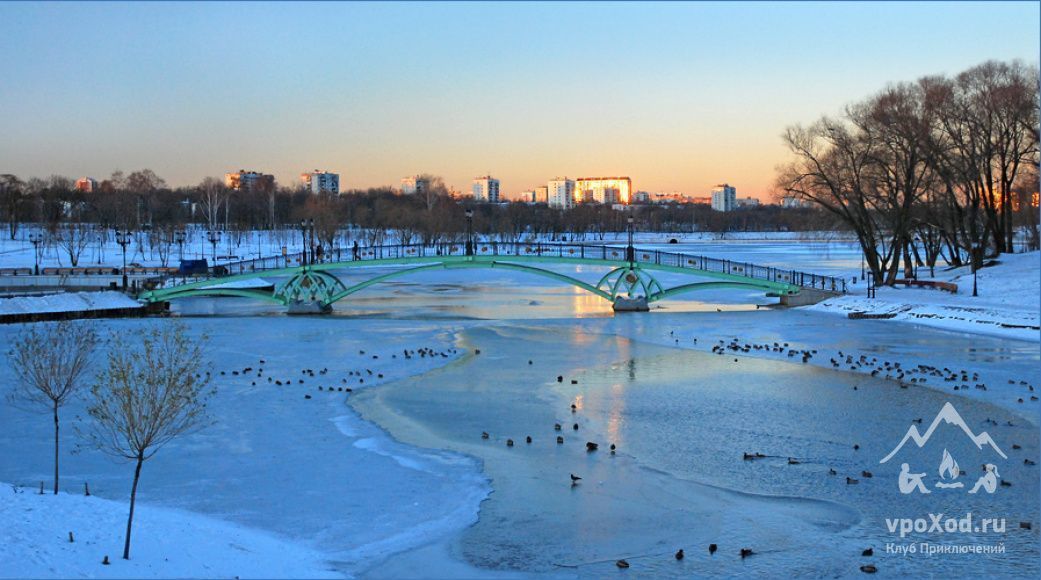 Парки москвы зимой. Парк Царицыно зимой. Царицыно пруд зима. Царицыно парк сейчас зимой. Царицыно зимой пруд.