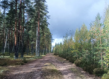 Карельский перешеек, В поисках исчезнувшей Леовиллы с детьми