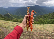 Грузия, Поход по нацпарку Боржоми с проживанием в отелях