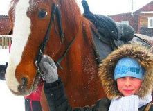 Северо-Запад, Путешествие в мир лошадей (для детей и родителей)