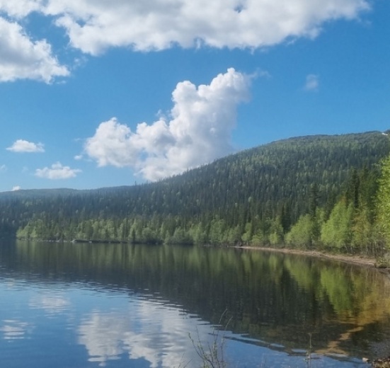 Кольский, Русская Лапландия: Мончетундры и Лапландский заповедник