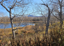 Камчатка, Камчатский вояж Лайт: шум океана и шёпот вулканов (комфорт-тур)