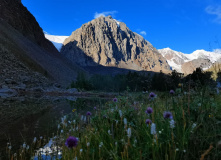 Алтай, Горный лагерь в Актру (проживание в домиках)