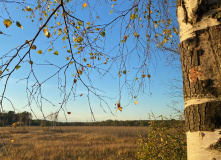Северо-Запад, Однодневный поход вдоль Кавголовского озера с посещением органного концерта в Токсово