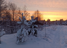 Урал, Лыжный квиз: Сюмси — Пумси