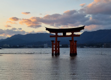 Япония, К пальмам и горячим пескам (разведка)