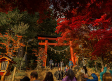 Япония, Осень у подножия Фудзиямы