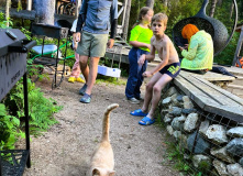 Подмосковье, Лесной лагерь с детьми на Валдае (Новгородская область)