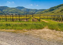 Франция, Винная дорога Эльзаса (разведка)