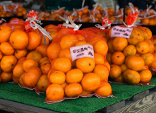 Япония, К пальмам и горячим пескам (разведка)