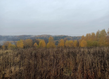 Подмосковье, Пеший поход «отМорозки»