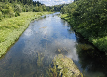 Подмосковье, Золотьковский водопад и Ратовский овраг