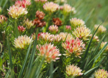 Алтай, Велопоход по Горному Алтаю (разведка)