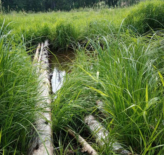 Красоты озера Хепоярви