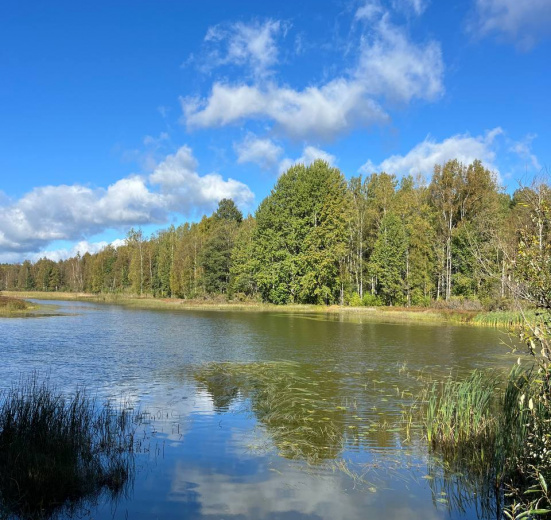 Сплав по рекам Александровка и Гороховка