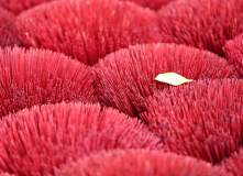 Вьетнам, Вьетнам, до востребования! Велотур