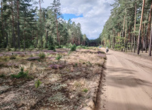 Беларусь, На перепутье затерянных дорог: велопоход по Беларуси