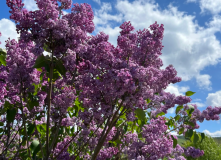 Центральный регион, Из Самары в Ширяево: водная прогулка + лёгкий поход
