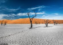 Намибия, По пустыням и саваннам Намибии (разведка)