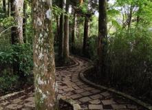 Япония, Каникулы в Японии для детей и взрослых