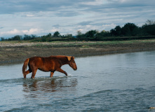 Грузия, Золотой маршрут Грузии: семейная экспедиция через горы к морю