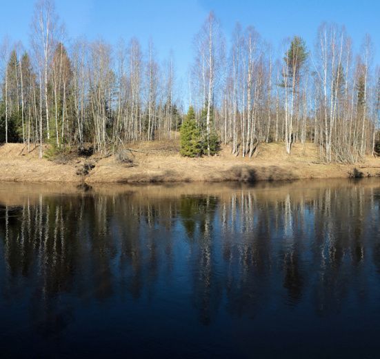 Сплав по реке Капша