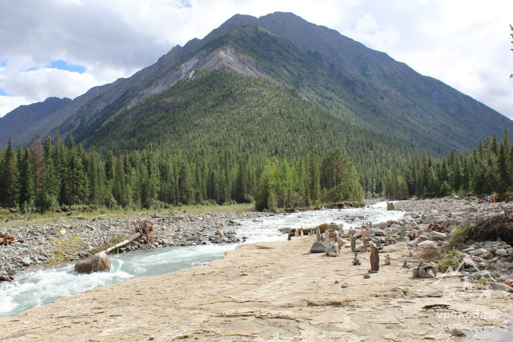 Шумак фото в хорошем качестве