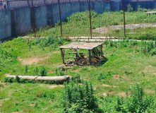 Абхазия, Сокровищница абхазских городов (семейный)