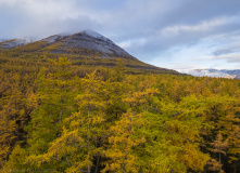 Плато Путорана, Фототур по плато Путорана — осень на озере Лама