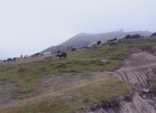 Кавказ, К подножью Эльбруса: путешествие для родителей с детьми (проживание в палатках)