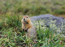 Сахалин, Сахалино-Камчатский вояж: по следам Крузенштерна (активный комфорт-тур)