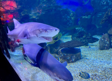 Китай, Живописная палитра Китая: из глубинки провинции к золотым пляжам (разведка)