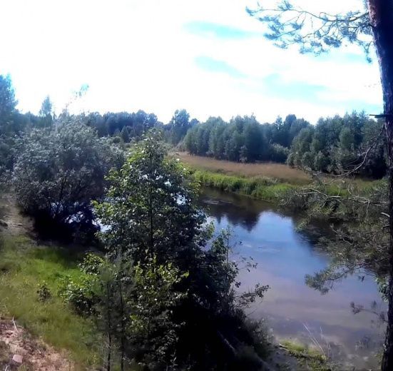 Центральный регион, В дебри Нижегородской тайги. Сплав по реке Керженец