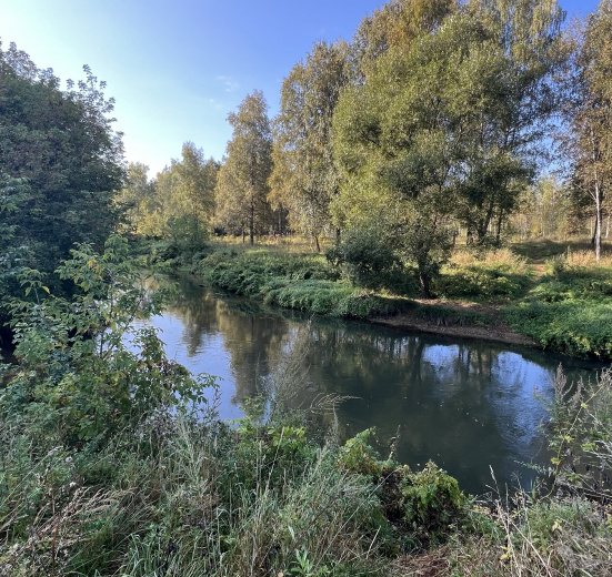 Подмосковье, К НЛО через Голубое озеро