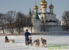 Подмосковье, Костромской уикенд с прогулкой на собачьих упряжках