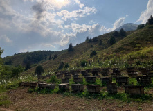 Узбекистан, Лето, весна, зима и снова лето: пеший поход по весенним горам Западного Тянь-Шаня
