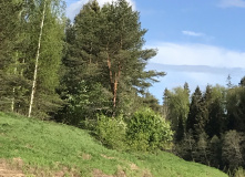 Северо-Запад, Русская деревня. На байдарках по реке Мста в Новгородской области