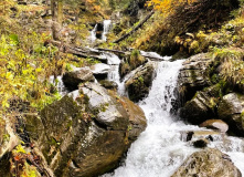 Кавказ, Семейный лагерь в Красной поляне