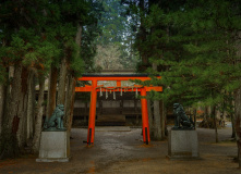 Япония, Каникулы в Японии для детей и взрослых